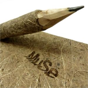 matita-legno-muse