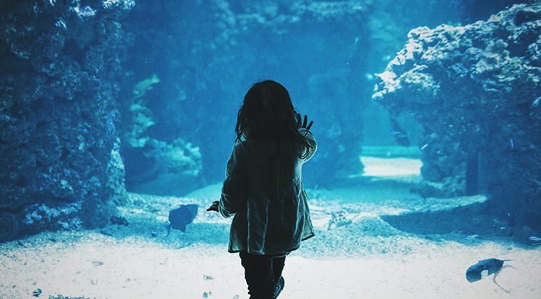 bambina di spalle davanti ad un acquario