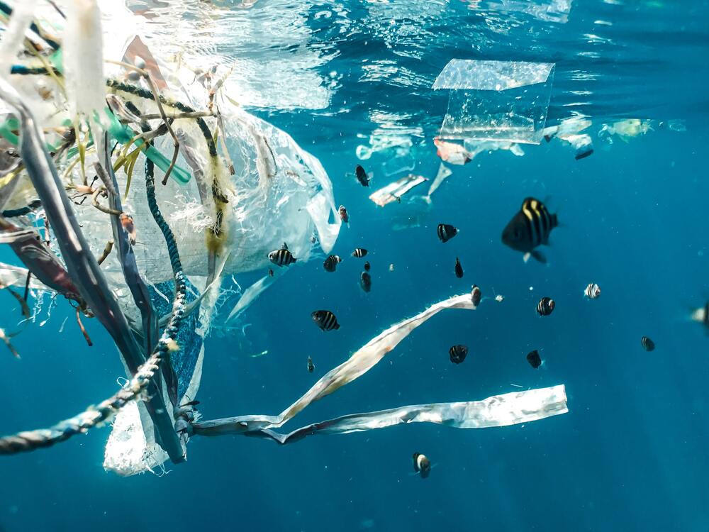 foto di plastica dispersa nel mare dannosa per i pesci e per l'ambiente - blog di Sadesign